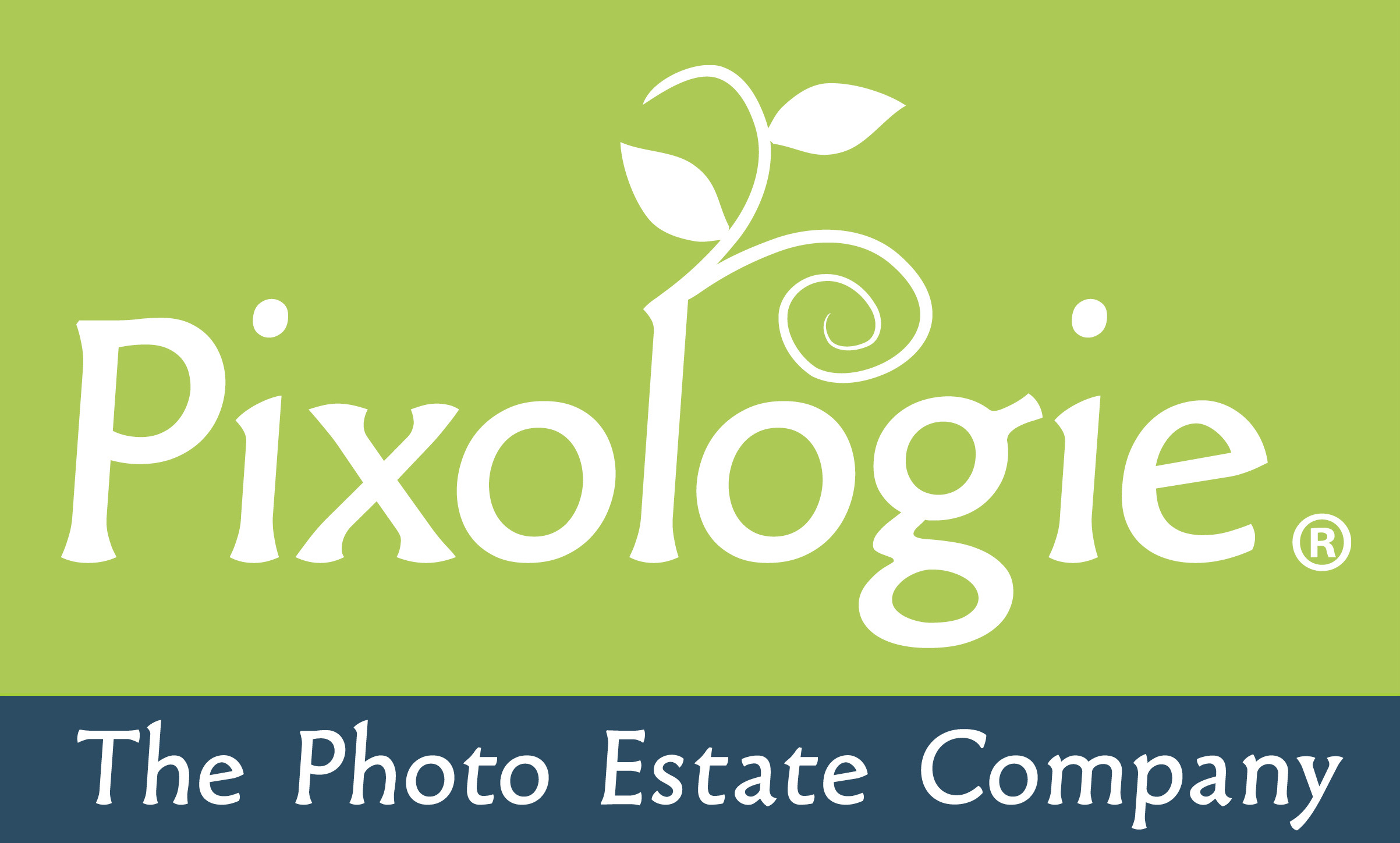 The best photo organizing service